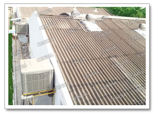 Heavy Duty Industrial Cooler